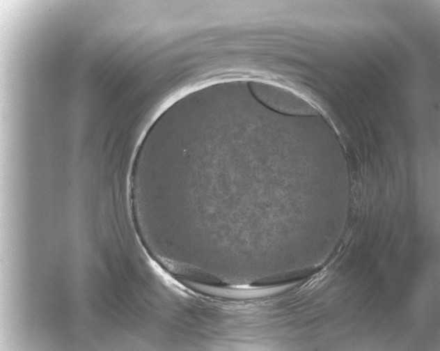 X0000066001535200603101517