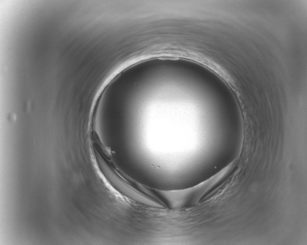 X0000066001536200603101517