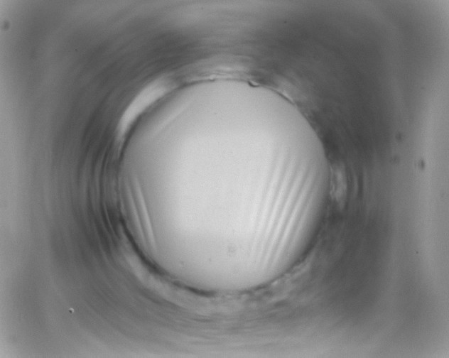 X0000066000004200603172217
