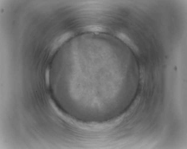 X0000066000014200603172217