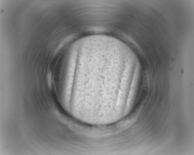 X0000066000024200603172216