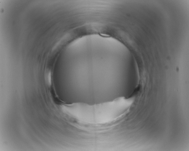 X0000066000027200603172216