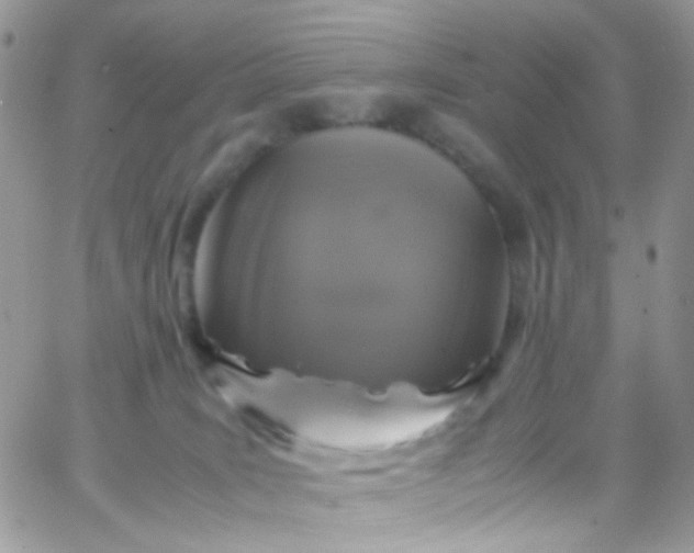 X0000066000035200603172216