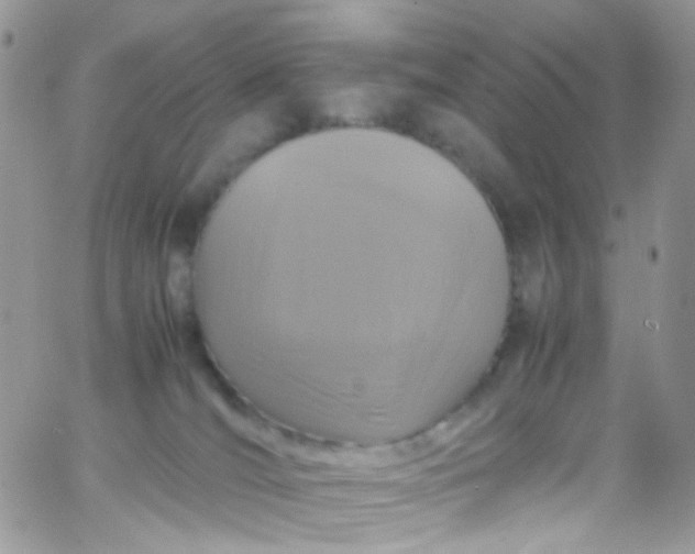 X0000066000036200603172216