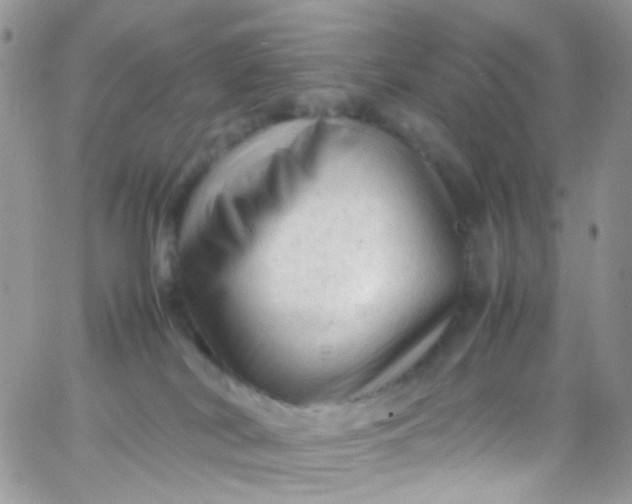 X0000066000038200603172216