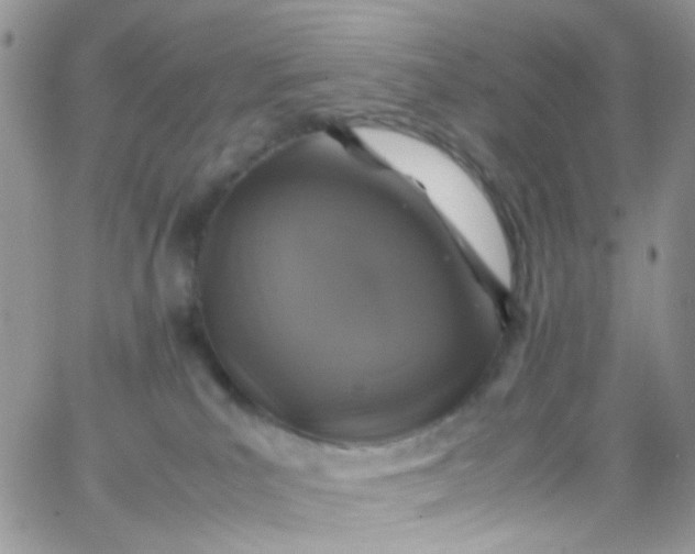 X0000066000039200603172216