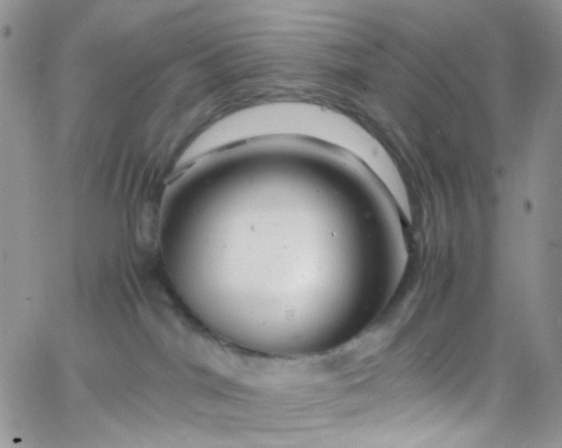 X0000066000044200603172216