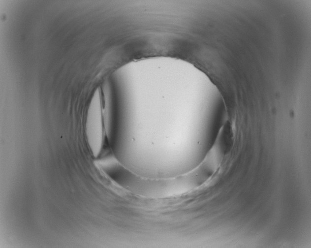 X0000066000045200603172216
