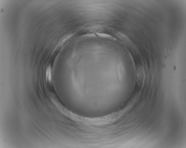 X0000066000046200603172216