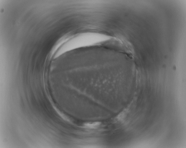 X0000066000051200603172215