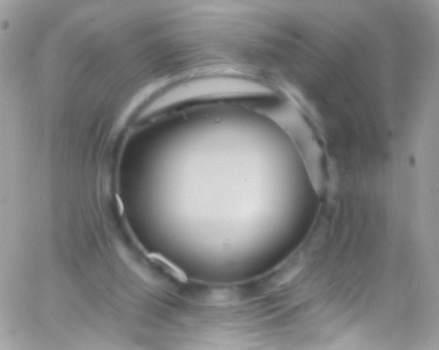 X0000066000060200603172215