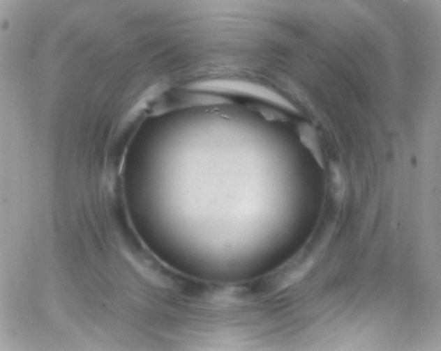 X0000066000072200603172216