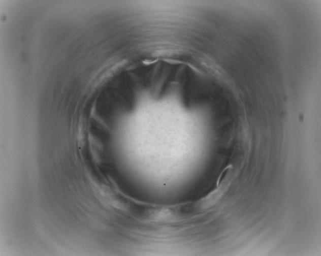 X0000066000074200603172216
