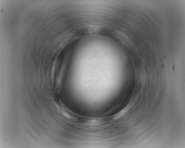 X0000066000082200603172216