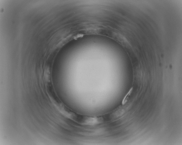 X0000066000083200603172216