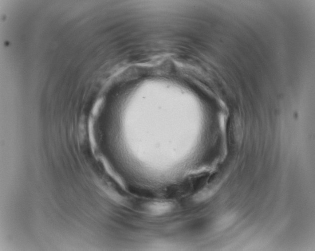 X0000066000085200603172216