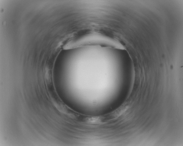X0000066000088200603172216