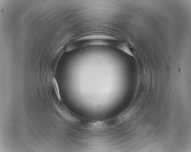 X0000066000092200603172216