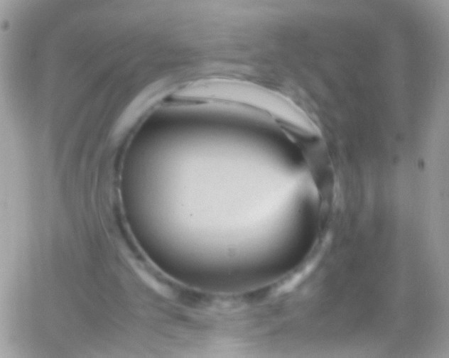 X0000066000101200603172215
