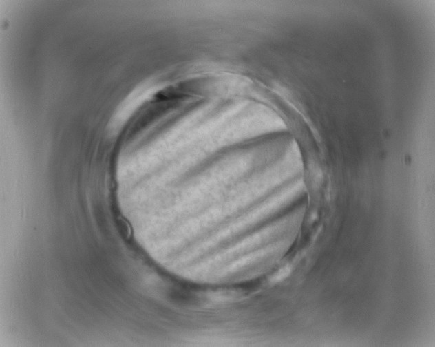 X0000066000103200603172215