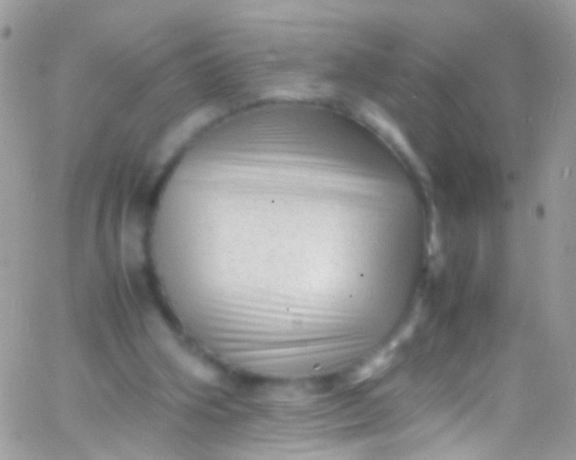 X0000066000106200603172215