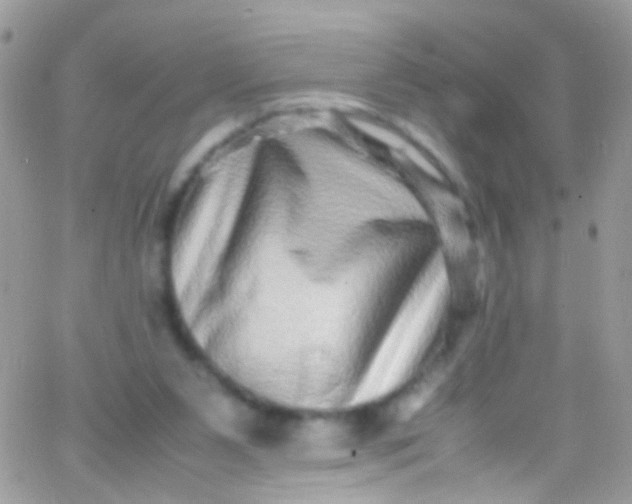 X0000066000111200603172215