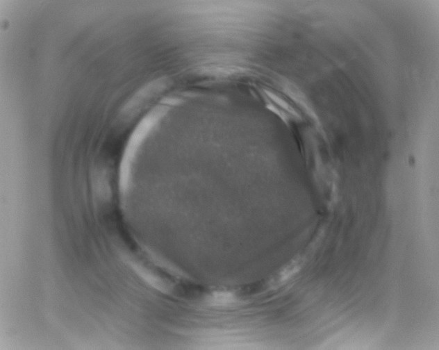 X0000066000114200603172215