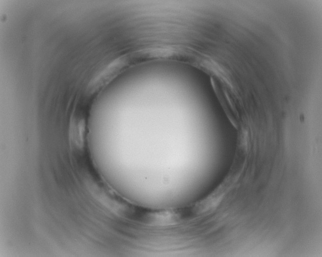 X0000066000118200603172215