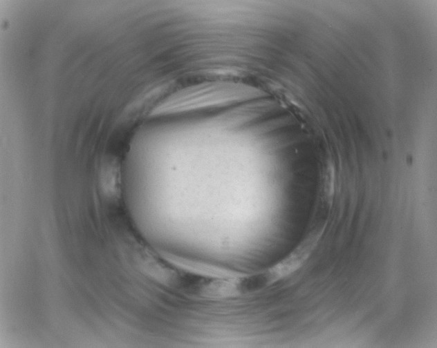 X0000066000138200603172215