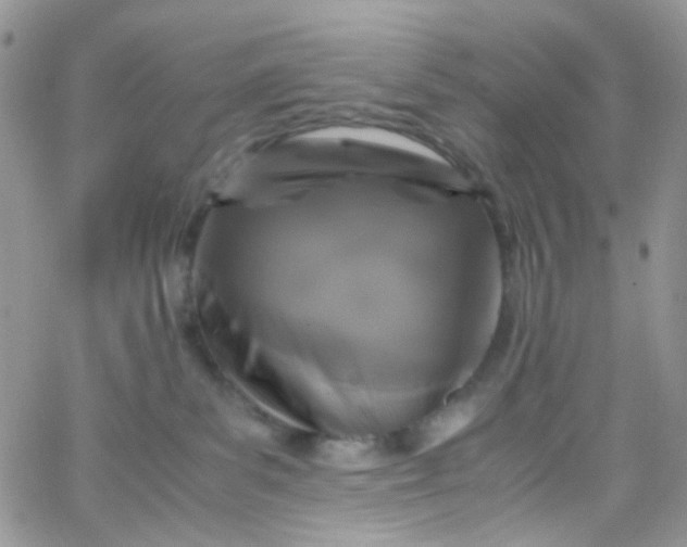 X0000066000139200603172215