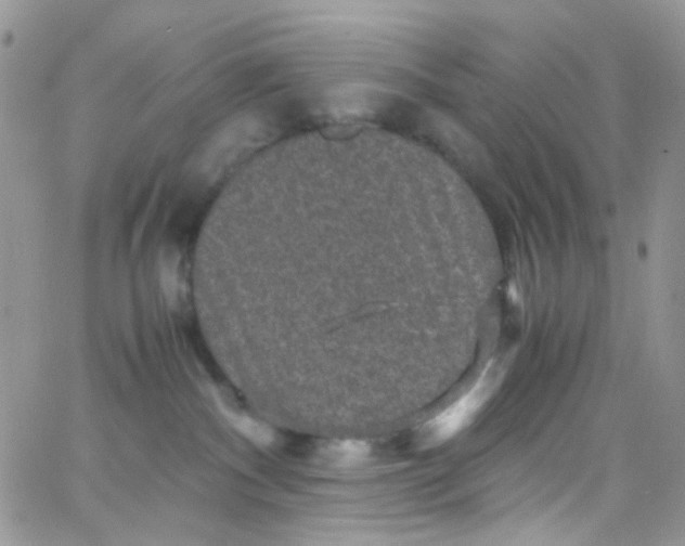 X0000066000140200603172215