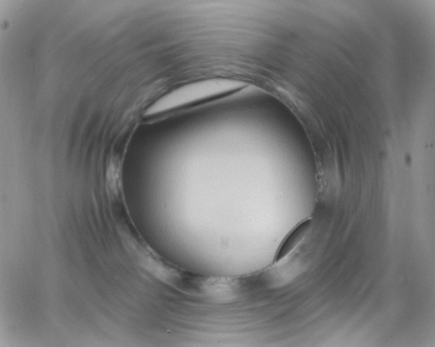 X0000066000142200603172215