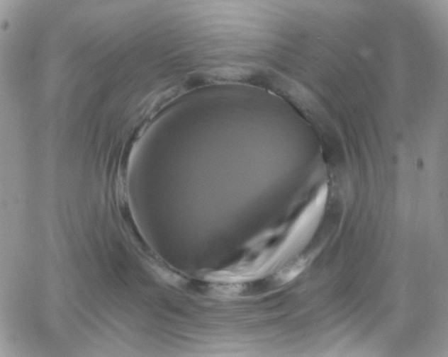 X0000066000143200603172215