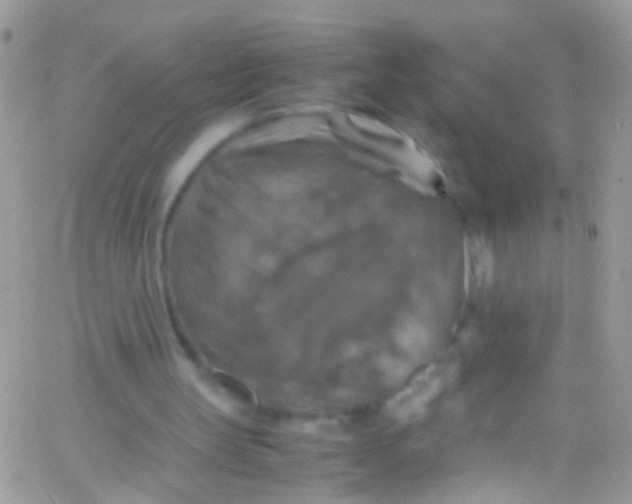 X0000066000147200603172214
