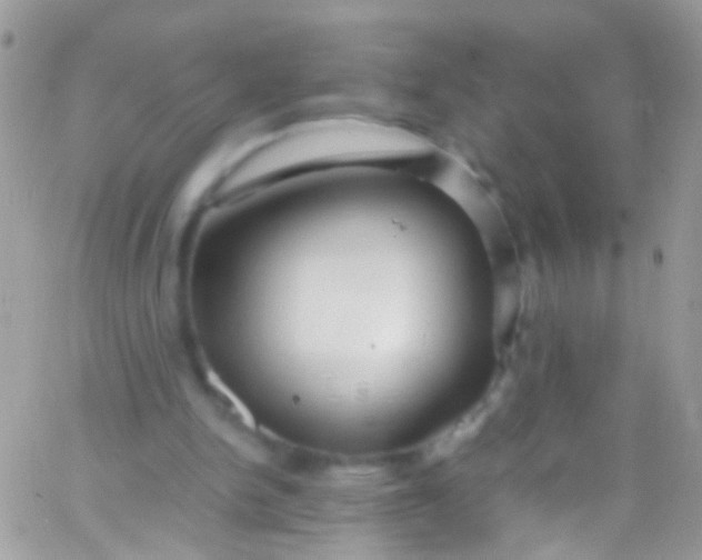 X0000066000150200603172214