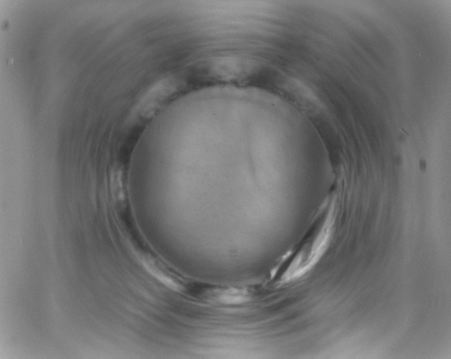 X0000066000182200603172214