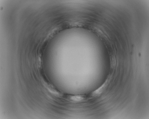 X0000066000183200603172214