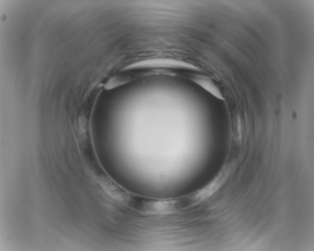 X0000066000184200603172214