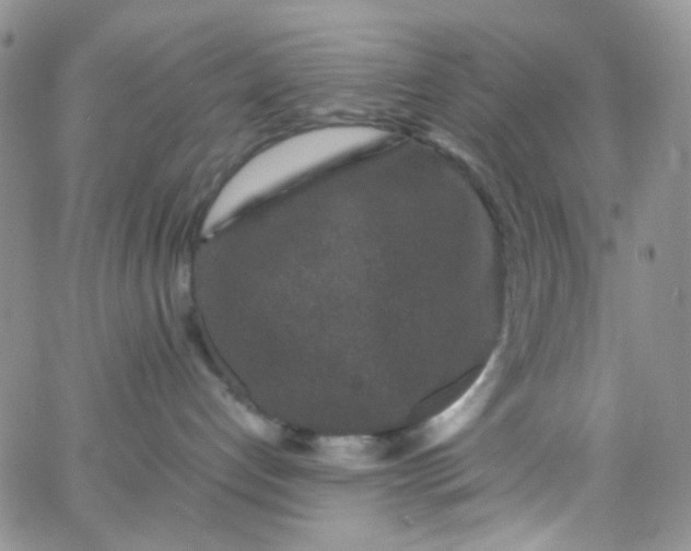 X0000066000192200603172215