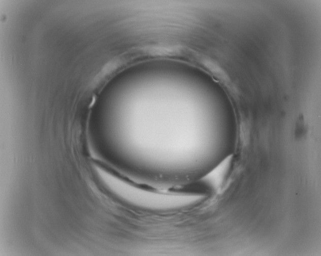 X0000066000201200603172214