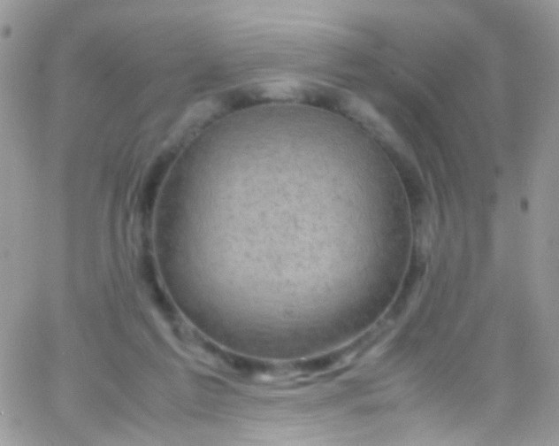 X0000066000213200603172213