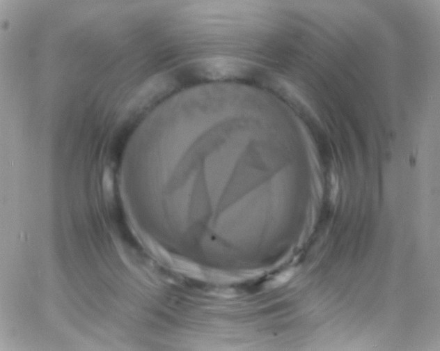 X0000066000214200603172213
