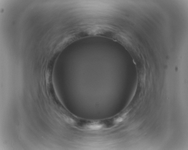 X0000066000219200603172213