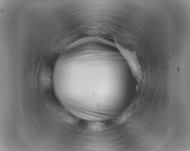 X0000066000226200603172213