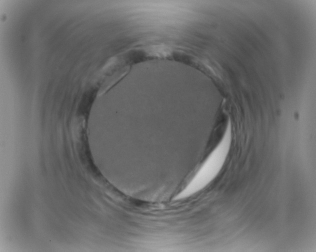 X0000066000229200603172213
