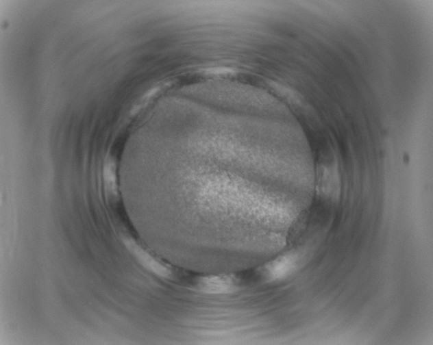 X0000066000238200603172213