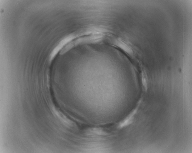 X0000066000244200603172212