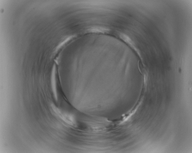 X0000066000249200603172212