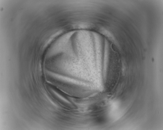 X0000066000251200603172212