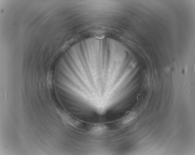 X0000066000274200603172213